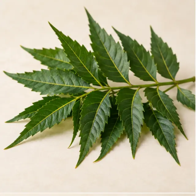 Neem botanical ingredient